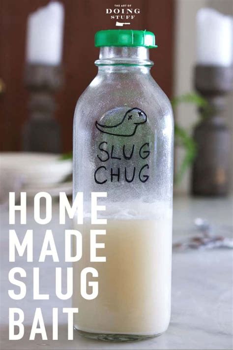 How do you make homemade snail and slug killer?