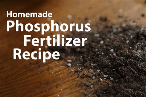 How do you make liquid phosphate fertilizer?