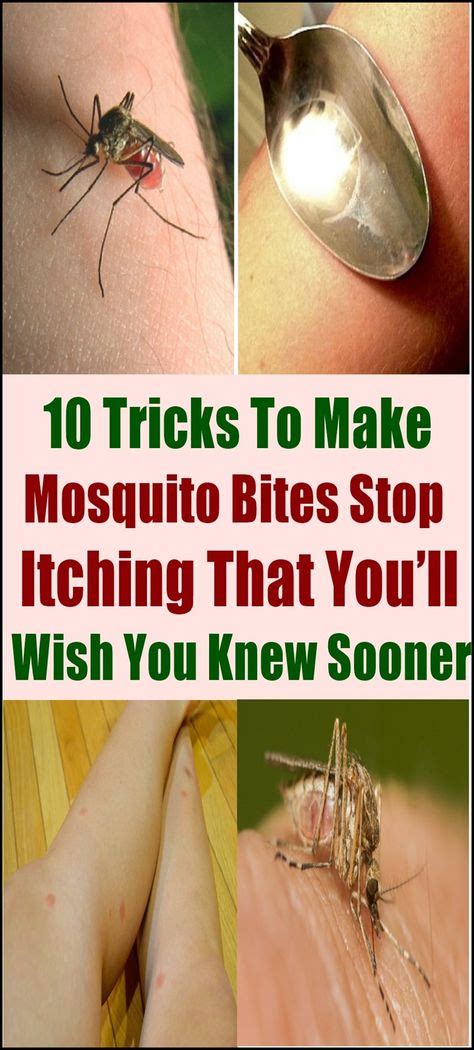 How do you make mosquitoes ignore you?