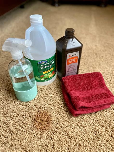 How do you make natural carpet cleaner solution?