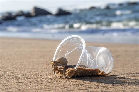 How do you make ocean water for hermit crabs?