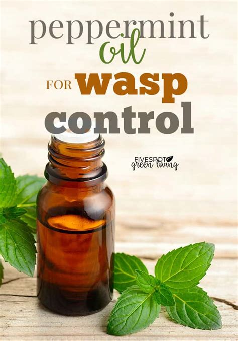 How do you make peppermint oil for wasps?