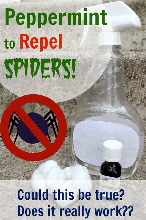 How do you make peppermint spray to repel insects?