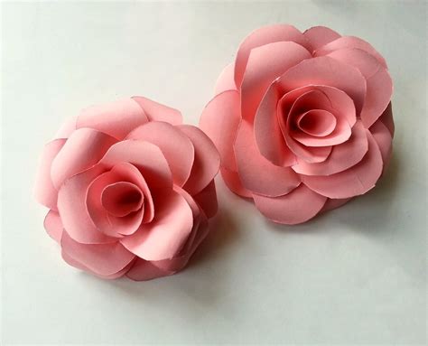 How do you make roses prettier?