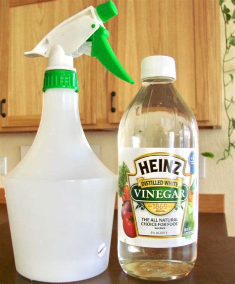 How do you make vinegar spray?