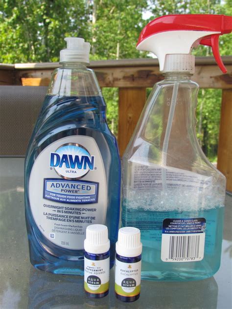 How do you make wasp killer with dish soap?