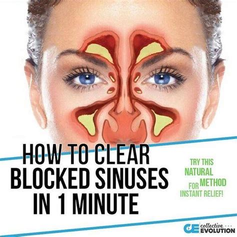 How do you massage a sinus blockage?