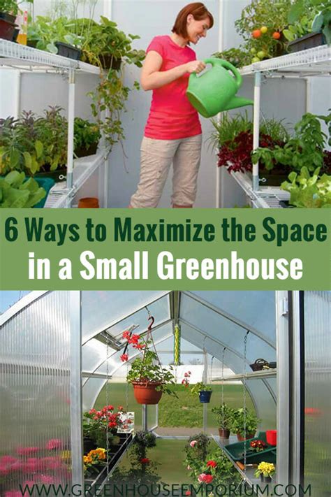 How do you maximize space in a greenhouse?