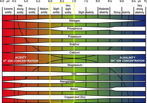 How do you measure nutrient content in water?