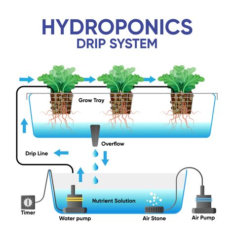 How do you monitor hydroponic nutrients?