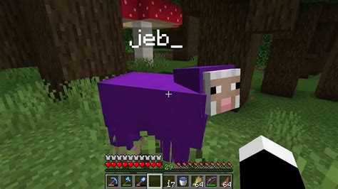 How do you name a Jeb sheep?