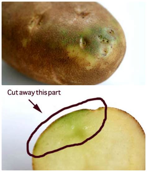 How do you neutralize solanine in potatoes?