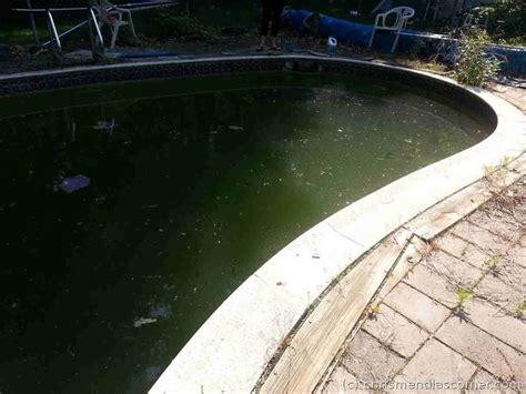 How do you open a neglected pool?