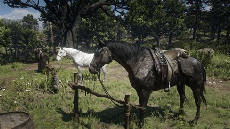 How do you own a horse in RDR2?