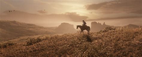 How do you play splitscreen on rdr2?