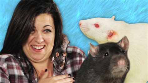 How do you play with rats?