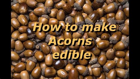 How do you prepare acorns for crafting?