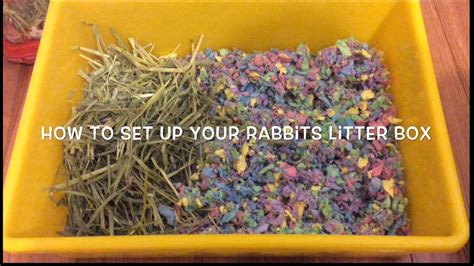 How do you prepare for a rabbit litter?