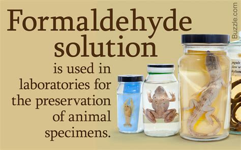 How do you prepare formaldehyde solution for preservation?