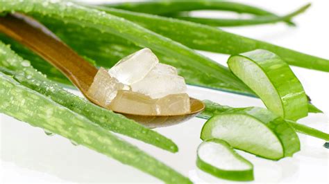 How do you prepare fresh aloe vera?