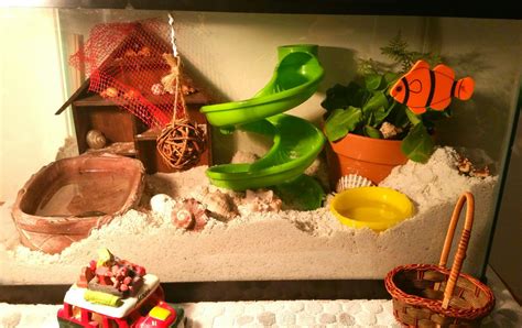 How do you prepare play sand for hermit crabs?
