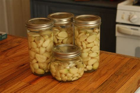 How do you preserve garlic bulbs?