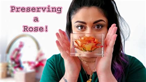 How do you preserve rose petals permanently?