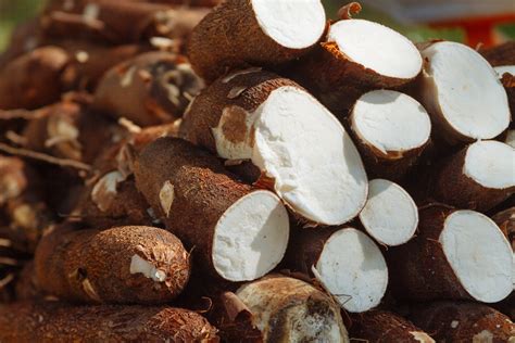 How do you prevent cassava poisoning?