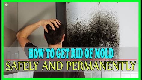 How do you prevent mold permanently?