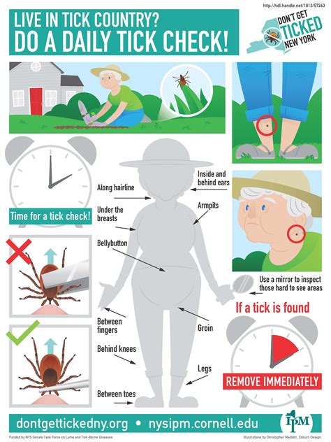 How do you prevent ticks getting on you?