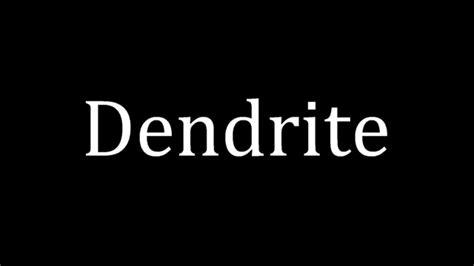 How do you pronounce Dendrons?