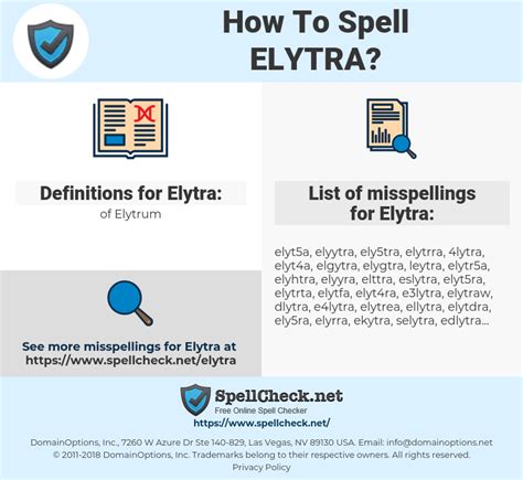 How do you pronounce Elytra?