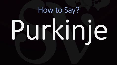 How do you pronounce Purkinje?
