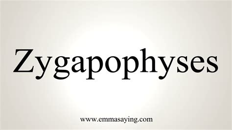 How do you pronounce Zygapophyses?