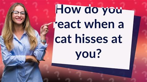 How do you react when a cat hisses?