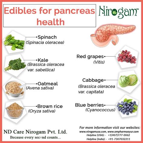How do you reduce inflammation in the pancreas?