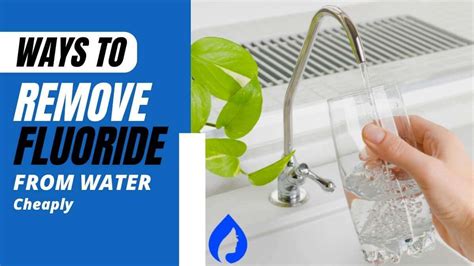 How do you remove 100% fluoride from water?