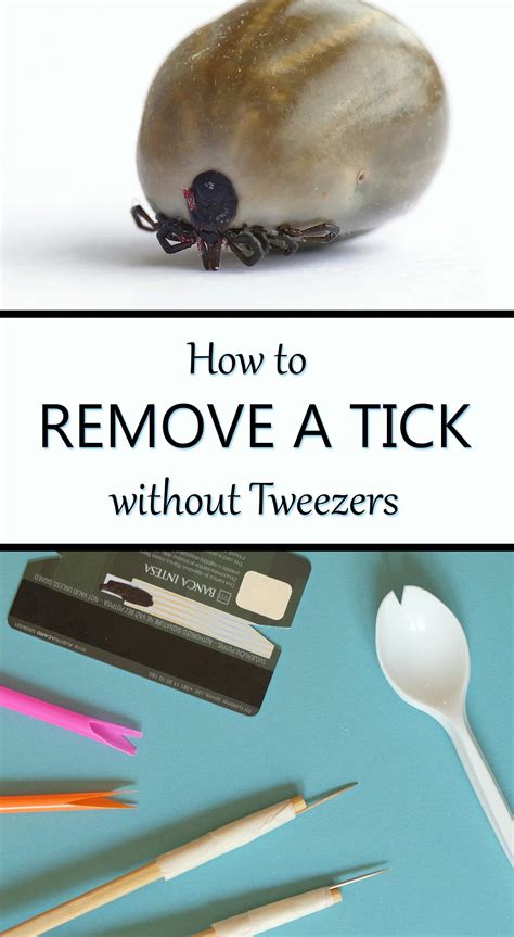 How do you remove a tick from a human without tweezers?