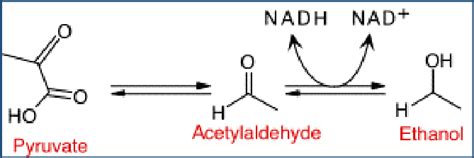 How do you remove acetaldehyde from ethanol?