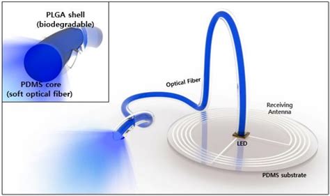 How do you remove fiber coating from optical?