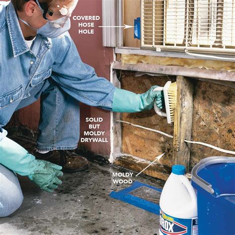 How do you remove mildew from concrete?