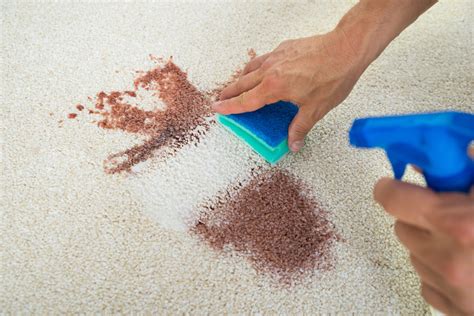 How do you remove permanent stains from carpet?