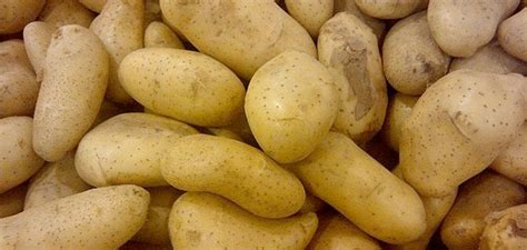 How do you remove solanine from potatoes?