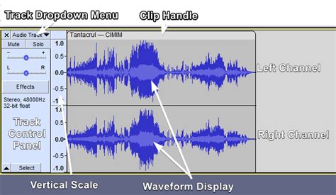 How do you reset the view in Audacity?