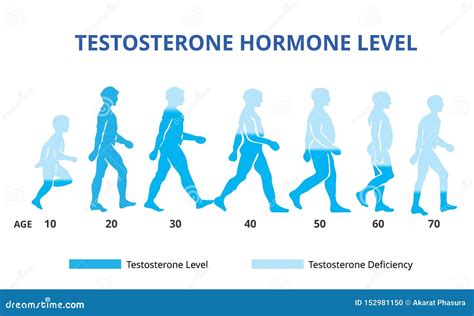 How do you reverse high testosterone levels?