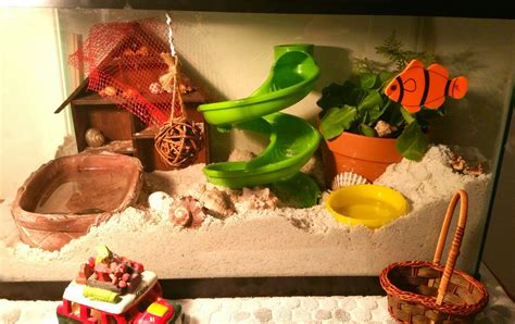 How do you sanitize play sand for hermit crabs?