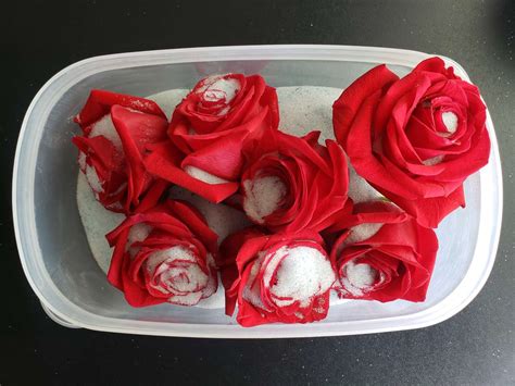 How do you save rose petals without them molding?