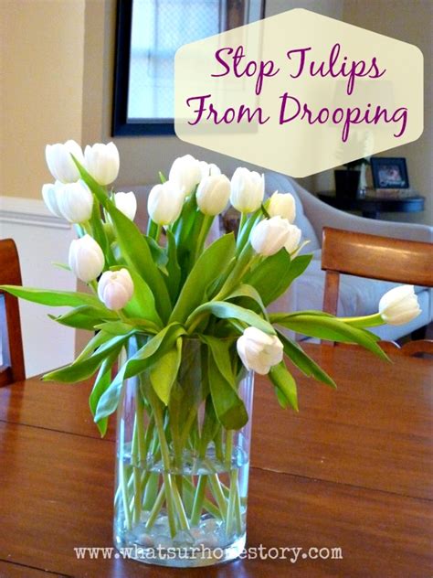 How do you save tulips?