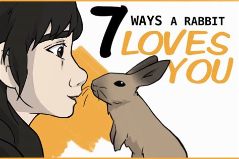 How do you say I love you in bunny language?