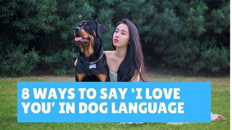 How do you say I love you in dog language?